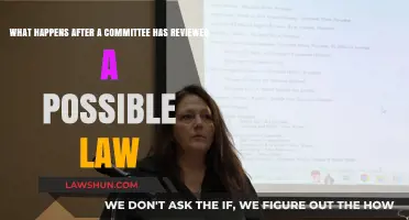 Post-Review Process: What Happens After a Law is Evaluated by Committee