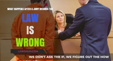 When Juries Defy the Law: Consequences of Jury Nullification