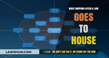 From House to Law: The Journey After Legislative Approval Explained