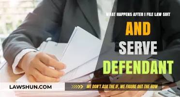 Filing a Lawsuit: What Happens After Serving the Defendant?