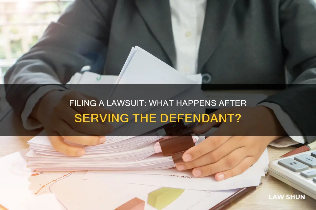 what happens after i file law suit and serve defendant