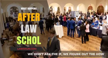Life After Law School: Navigating Career Paths and Opportunities