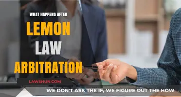 Post-Lemon Law Arbitration: Next Steps and Consumer Rights Explained
