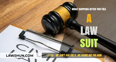 Filing a Lawsuit: Understanding the Legal Process and Next Steps