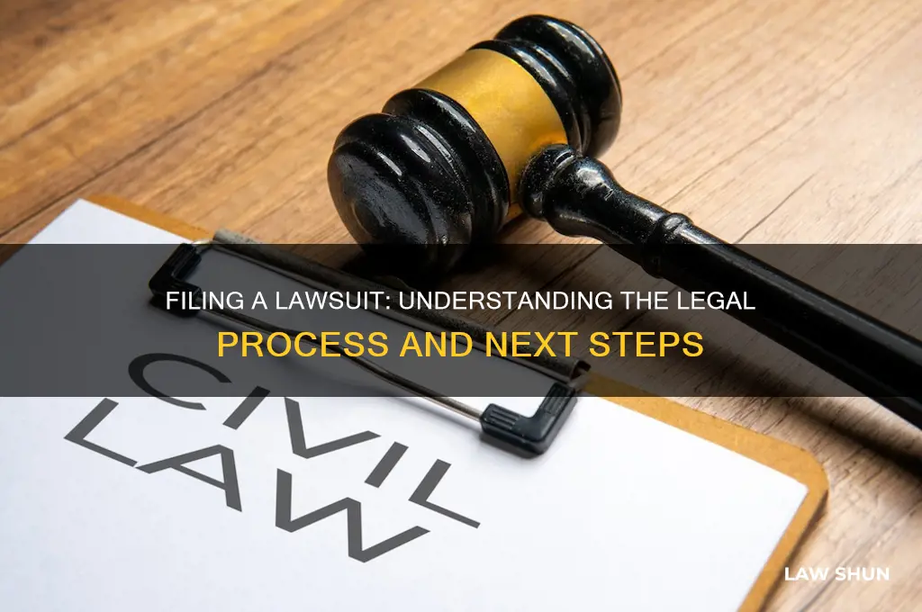what happens after you file a law suit