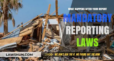 After Reporting: Understanding Mandatory Laws' Impact and Next Steps