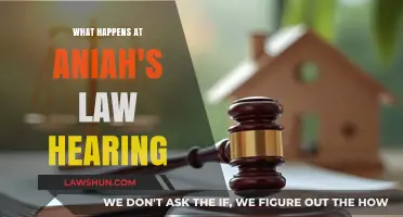 Understanding Aniah's Law: What to Expect at the Hearing