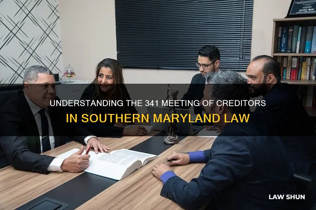 what happens at the 341 meeting of creditors southernmaryland law