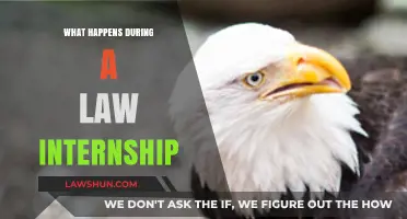 Exploring Legal Careers: Insights into Daily Life During a Law Internship