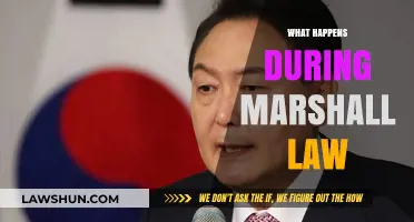 Understanding Martial Law: What Happens When It's Declared?