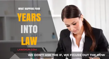 Four Years In: Navigating Legal Challenges and Career Growth in Law