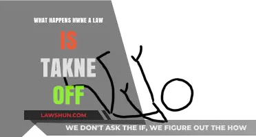 When Laws Disappear: Consequences of Repealing Legal Statutes