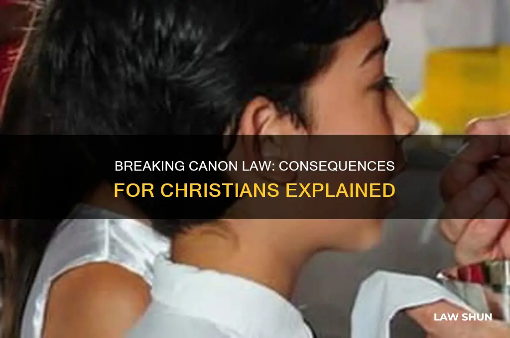 what happens if a christian broke a canon law