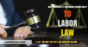 Pleading Guilty to Labor Law Violations: Consequences and Legal Implications