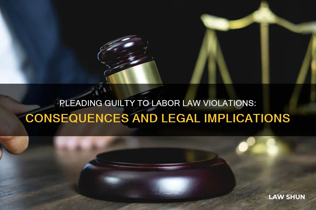 what happens if a defendant pleads guilty to labor law