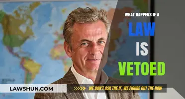 Understanding the Impact: What Happens When a Law Faces Veto