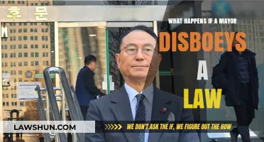 When Mayors Break the Law: Consequences and Accountability Explained