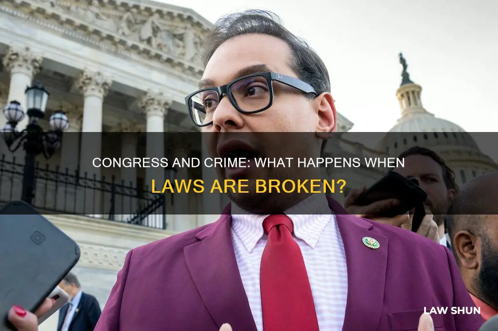 what happens if a member of congress breaks the law