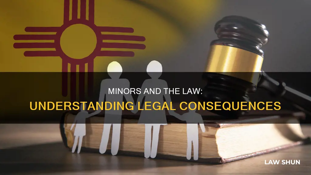 what happens if a minor breaks the law