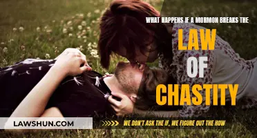 Mormon Law of Chastity: Breaking Vows and Consequences