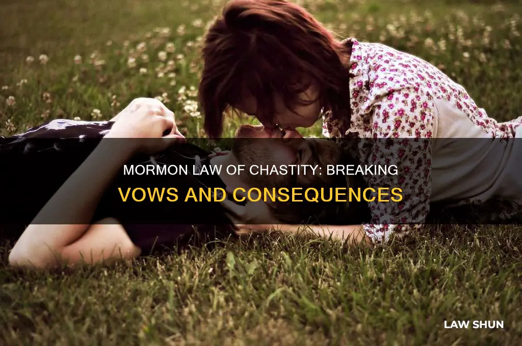 what happens if a mormon breaks the law of chastity