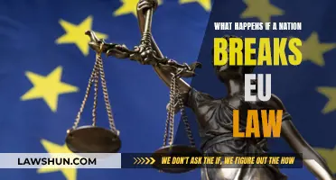 EU Lawbreakers: Consequences and Implications for Nations