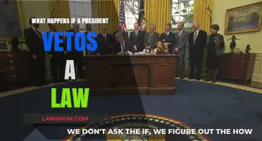 Presidential Veto Power: How It Blocks Laws and Shapes Policy