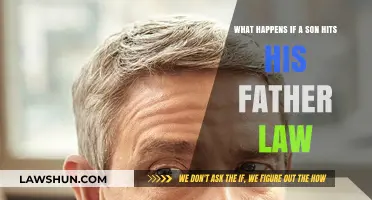 Son Hits Father-in-Law: Legal Consequences and Family Impact Explained