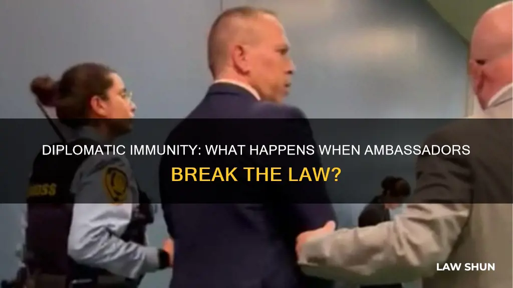 what happens if an ambassador breaks a law