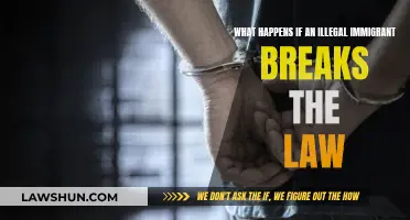 Immigrant Lawbreakers: What Happens When They Break the Law?