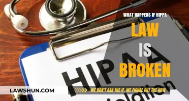 Consequences of HIPAA Violations: Legal Penalties and Reputational Risks Explained