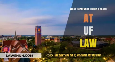 Consequences of Dropping a Class at UF Law: What to Expect