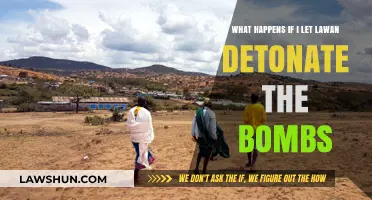 Consequences of Letting Lawan Detonate the Bombs: A Critical Analysis