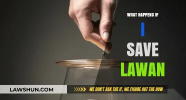 Saving Lawan: Unveiling the Consequences and Impact of Your Actions