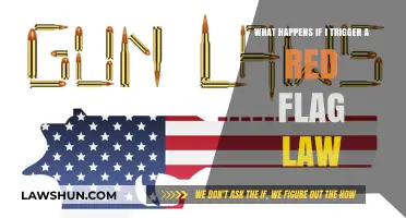 Red Flag Laws: Consequences of Triggering a Firearm Restriction Order