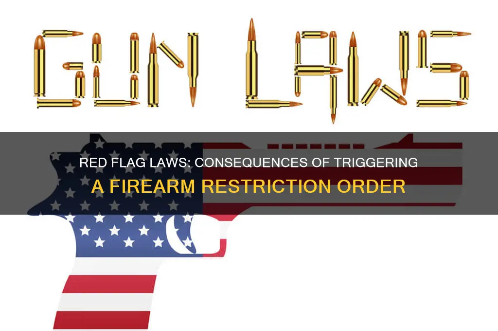 what happens if i trigger a red flag law