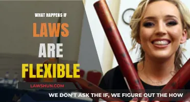 Flexible Laws: Balancing Adaptability and Stability in Society