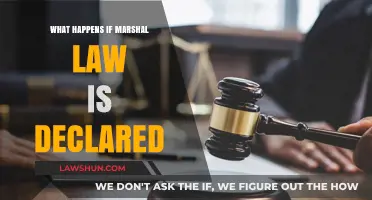 Understanding Martial Law: Consequences, Rights, and Societal Impact Explained