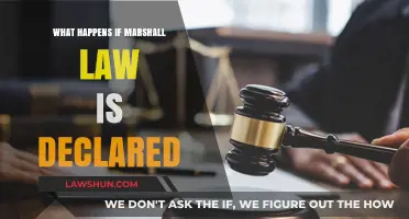 Understanding Martial Law: Consequences and Impact on Society and Freedom