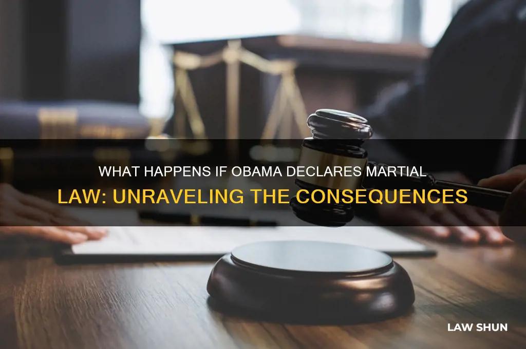 what happens if obama declares matrial law