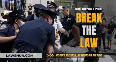 Police Accountability: What Happens When Cops Break the Law?