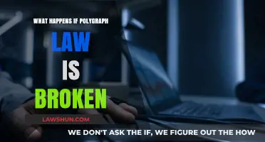 Breaking Polygraph Laws: Consequences and Legal Ramifications Explained
