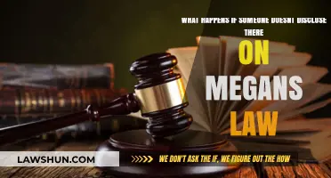 Failing to Disclose Megan's Law Status: Consequences and Legal Ramifications