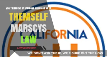 Understanding Marscys Law: Consequences of Homicide or Suicide Cases