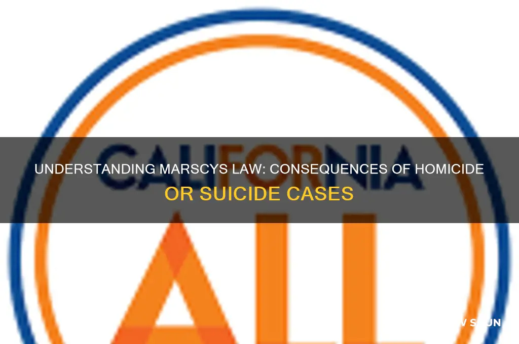 what happens if someone killed or killd themself marscys law