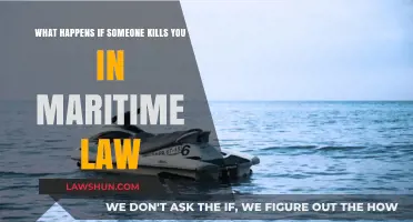 Maritime Law and Homicide: Consequences of Killing at Sea Explained