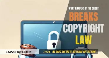 Understanding Copyright Law: Client's Breach and Consequences