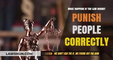 Unjust Consequences: The Impact of Inadequate Legal Punishment on Society