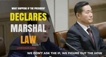 Martial Law Explained: Consequences of a Presidential Declaration
