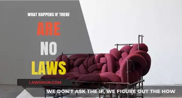 A World Without Rules: Exploring the Chaos of Lawlessness